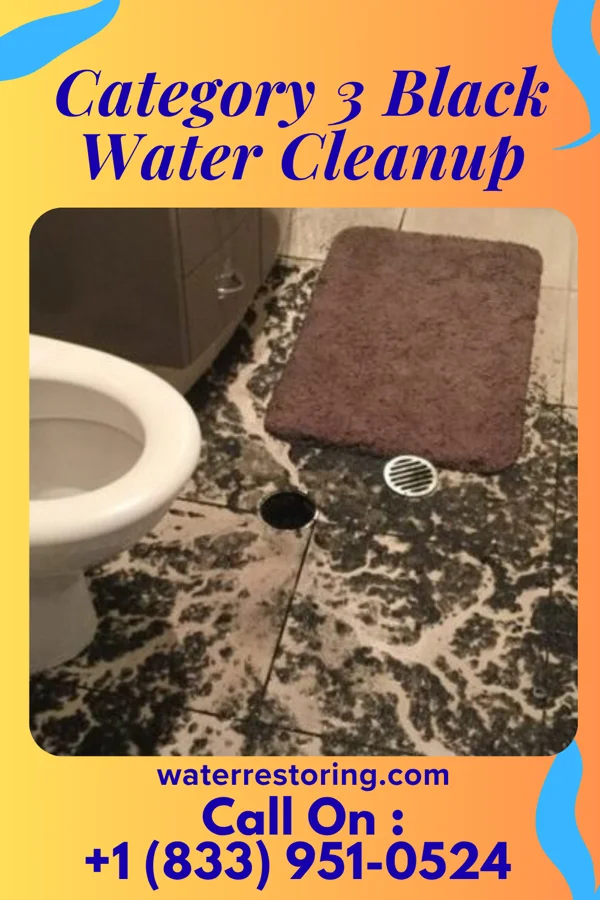 Category 3 Black Water Cleanup in New Market, IN